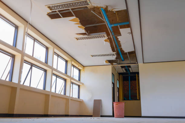 Best Flooded house restoration  in Springville, UT