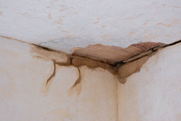 Best Water damage cleanup near me  in Springville, UT