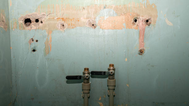 Best Fire Damage Restoration  in Springville, UT